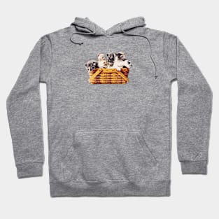 Kittens in a Basket Hoodie